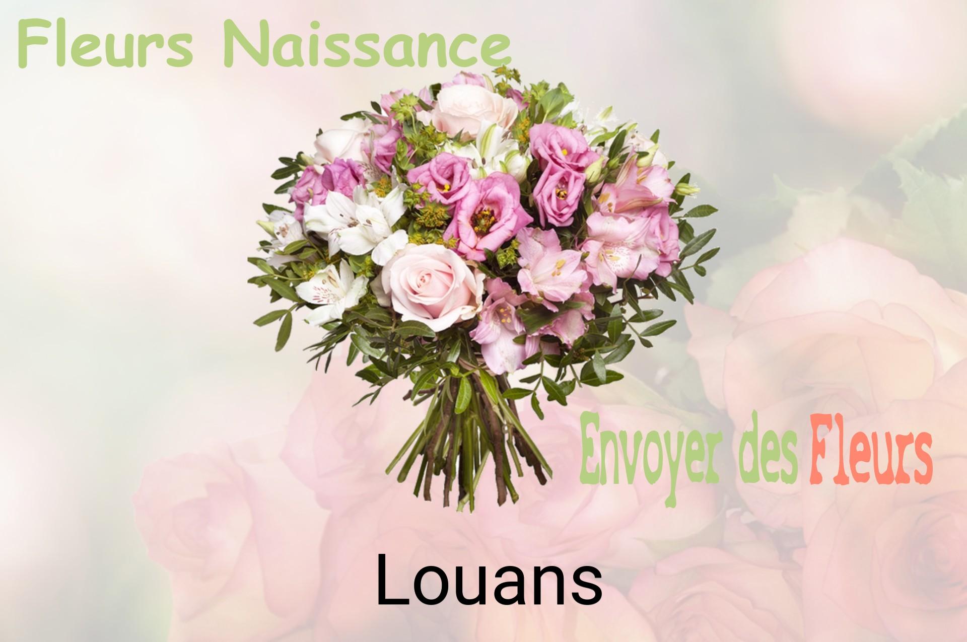 Bouquet de fleurs de naissance livré à Louans